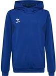 Polyester-Hoodie Kind Hummel Authentic