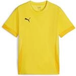 Puma teamGOAL Matchday Trikot f&uuml;r Kinder, gelb 705748