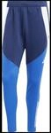 Adidas Performance Tiro 24 Competition Winterized Herren Trainingshose, blau, Gr. M