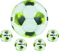 Derbystar 112034v25_9101, Derbystar Brillant TT AG v25 Outdoor-Fu&szlig;ball, wei&szlig;, Gr. 5