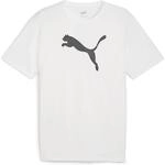 Puma teamRISE Logo Cotton T-Shirt f&uuml;r Herren, wei&szlig; 658705
