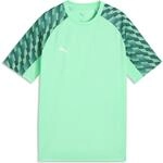Puma Teamliga26 T-Shirt f&uuml;r Kinder, gr&uuml;n 659723