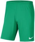 Nike Dri-Fit Park 3 Teamhose f&uuml;r Kinder, gr&uuml;n BV6865-324