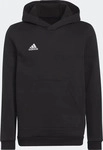 adidas dj563_h57516, Adidas Entrada 22 Sweat Hoodie Kapuzensweater f&uuml;r Kinder,