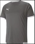 Puma TeamLIGA Herren Trikot, grau, Gr. S