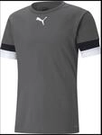 Puma TeamRISE Herren Trikot, grau, Gr. M 704932-13