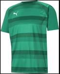Puma TeamVISION Herren T-Shirt, gr&uuml;n, Gr. XL 704921-05