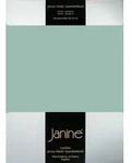 Janine Spannbetttuch Elastic-Jersey 5002 rauchgr&uuml;n 100x200 cm