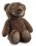 Biederlack Kuschelset Dream Team Bruno 75x100 cm