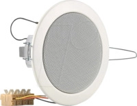 VIS 50111 - Deckenlautsprecher, 100 V, IP54, 10 cm, wei&szlig;