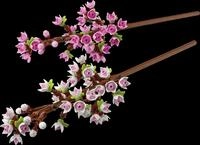 LEGO 40725 - LEGO&reg; Kirschbl&uuml;ten