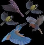 TEV 60086 - Vogelfrei Silhouetten, bunt