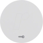 BERKER 16202059 - Wippe mit Aufdruck Symbol T&uuml;r R.1/R.3 polarwei&szlig;, gl&auml;nzend