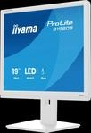 IIY B1980SW1 - 48cm Monitor, Pivot, Lautsprecher, weiss