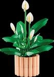 LEGO 11504 - LEGO&reg; Botanicals - Friedenslilie