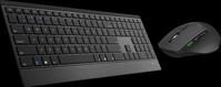 RAPOO 9500M SW - Tastatur-/Maus-Kombination, Bluetooth/Funk, schwarz, DE