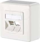 BTR 1309150002-E - Modul Anschlussdose AP 2 Port, reinwei&szlig;
