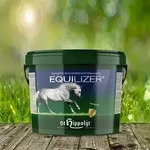 St. Hippolyt Equilizer 2,5 kg - Dopingfreie Konzentration und Gelassenheit