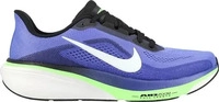 Nike Pegasus 42 Herren Wei&szlig;