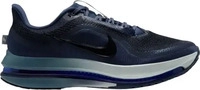 Nike Pegasus Premium Herren Blau/Grau