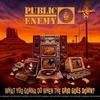 What You Gonna Do When The Grid Goes Down - Public Enemy. (CD)