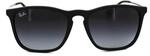 Ray-Ban Runde Herren Gummi Schwarz Gradient Grau Sonnenbrille