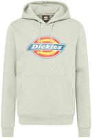 Dickies Icon Logo Hoodie Unisex Erwachsene Grauer Kapuzenpullover