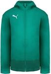 Puma TeamGoal 23 TRG Herren Gr&uuml;ner Regenjacke
