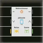 MDT KNX Glastaster II Smart mit Farbdisplay, Schwarz BE-GT20S.02S
