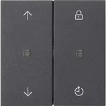 Gira eNet Funk Bedienaufsatz Memory Pfeile System 55 anthrazit 549228