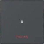 Gira Wippe Kontrollfenster + Heizung Ein/Aus System 55 Anthrazit 367828