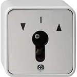 Gira Schl&uuml;sselschalter Tast-Rastschalter WG-AP grau IP44 2-polig 014430
