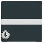 Busch-Jaeger Abdeckrahmen 1-fach AW44 Klappdeckel Schloss Beschriftungsfeld anth
