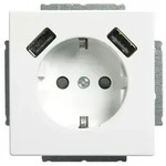 Busch-Jaeger SCHUKO-2x USB Steckdose 20 EUCB2USB-84