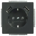 Busch-Jaeger SCHUKO-2x USB Steckdose 20 EUCB2USB-81