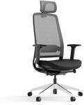 Chair Expert - Ergonomischer B&uuml;rostuhl - Schwarz