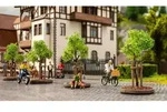Junge B&auml;ume mit Baumst&uuml;tzen 6x