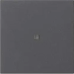 Gira Funk-Bedienaufsatz 549528