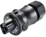 Wieland Steckverbinder Stecker 96.032.4153.1