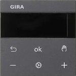 Gira RTR BT System 539428