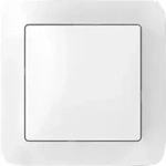 Bosch Thermotechnik Home Wandschalter 8750002778
