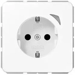 Jung SCHUKO Steckdose 16 A 250V BT CD 1521 S WW