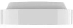 Gira Rauchwarnmelder 114502