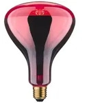 Paulmann Infrarot-Lampe E27 201.25