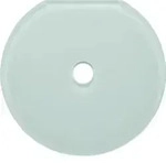 Berker Glas-Endplatte Schalter 109409