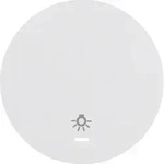 Berker Wippe pows/gl 16212079