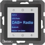 Berker Radio DAB+, Bt., Q.x anth. 30846086