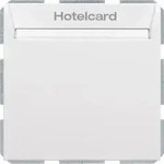 Berker Relais-Schalter Hotelcard 16409909