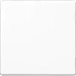 Jung Steuertaste Standard A 1700 BF WW