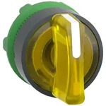 Schneider Electric Frontelement ZB5AK1383
